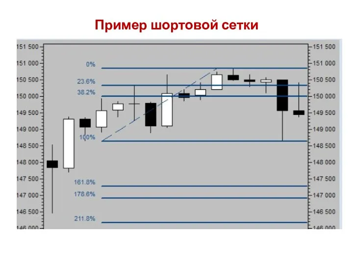 Пример шортовой сетки