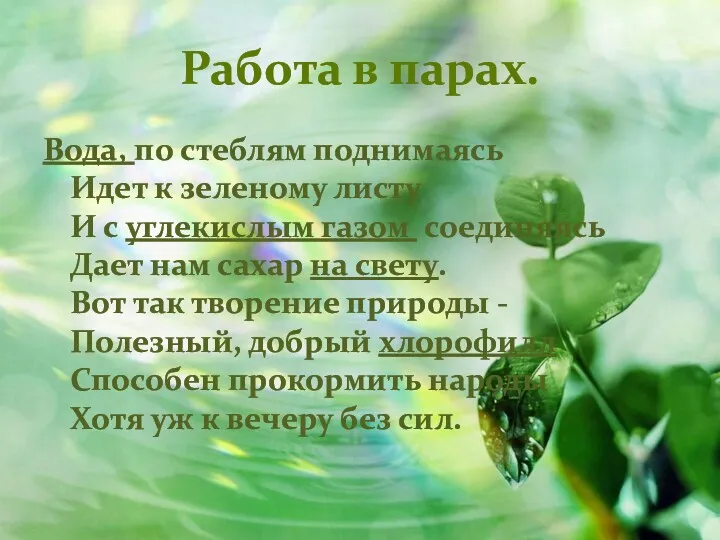 Работа в парах. Вода, по стеблям поднимаясь Идет к зеленому