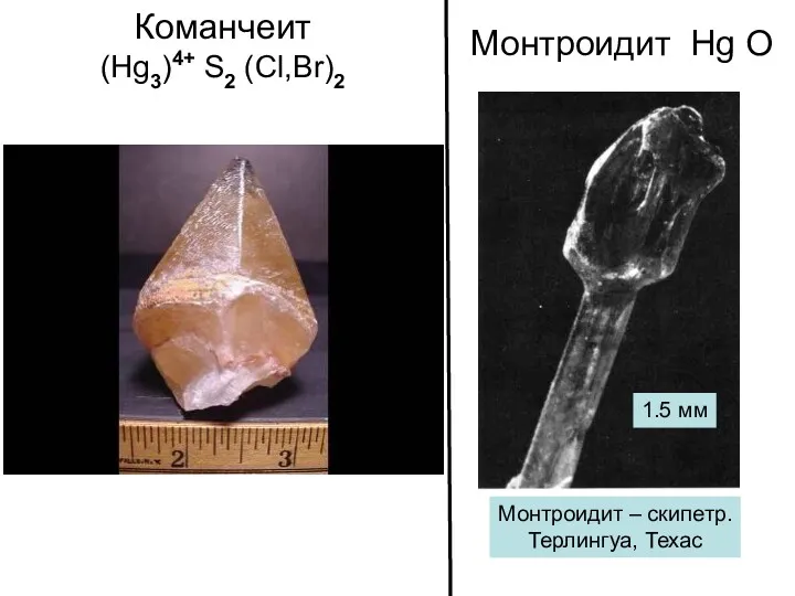 Команчеит (Hg3)4+ S2 (Cl,Br)2 Монтроидит Hg О Монтроидит – скипетр. Терлингуа, Техас 1.5 мм