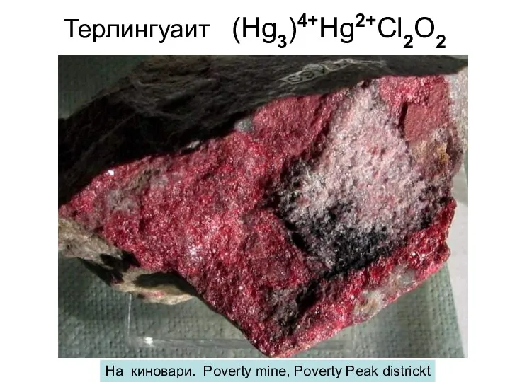 Терлингуаит (Hg3)4+Hg2+Cl2O2 На киновари. Poverty mine, Poverty Peak districkt