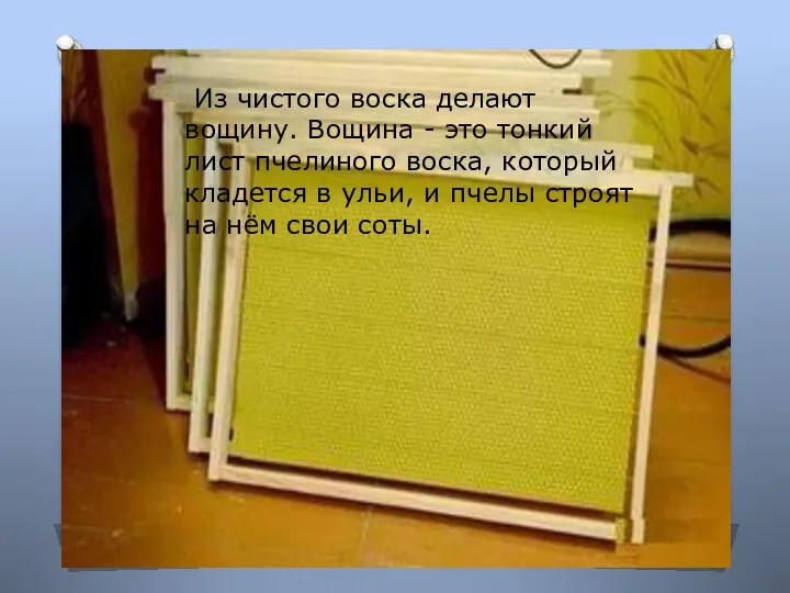 Из чистого воска делают вощину. Вощина - это тонкий лист