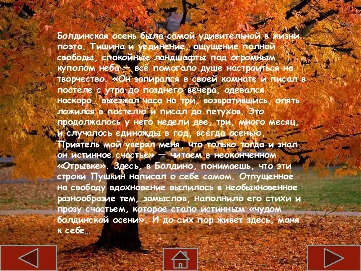 Болдинская осень была самой удивительной в жизни поэта. Тишина и