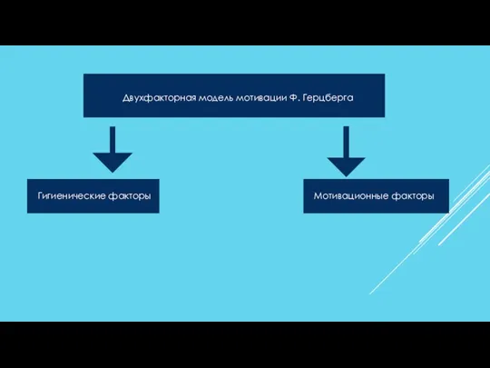 Двухфакторная модель мотивации Ф. Герцберга Гигиенические факторы Мотивационные факторы