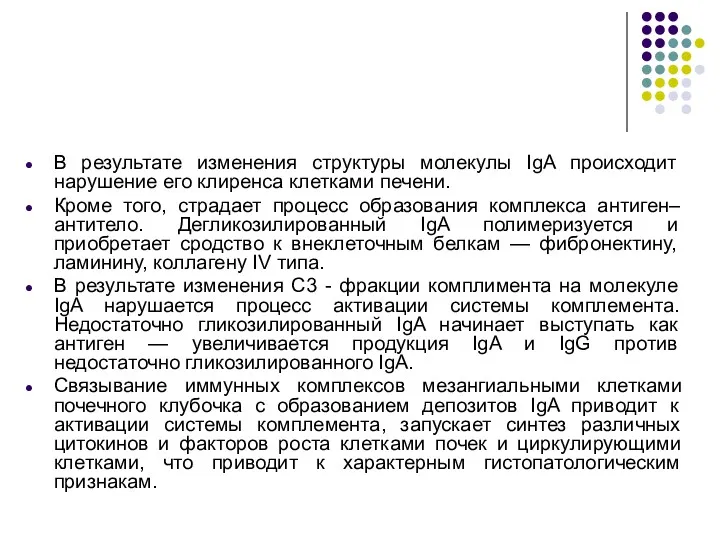 В результате изменения структуры молекулы IgA происходит нарушение его клиренса