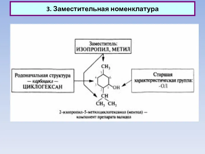 3. Заместительная номенклатура