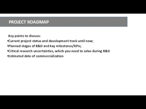 PROJECT ROADMAP Key points to discuss: Current project status and