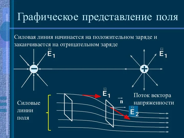 Графическое представление поля Поток вектора напряженности Силовые линии поля Силовая линия начинается на