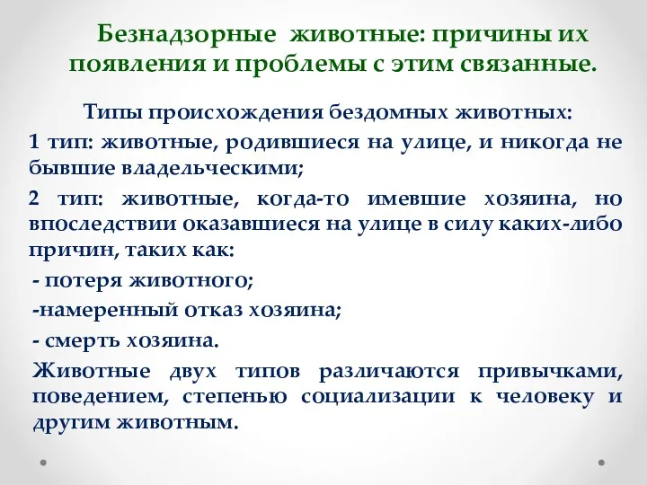 Безнадзорные животные: причины их появления и проблемы с этим связанные.