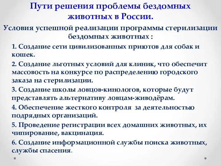 Пути решения проблемы бездомных животных в России. Условия успешной реализации