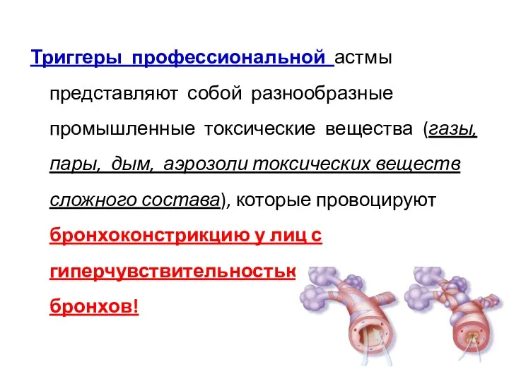 Триггеры профессиональной астмы представляют собой разнообразные промышленные токсические вещества (газы,