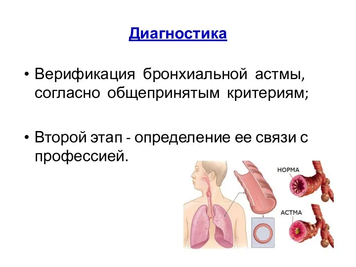 Диагностика Верификация бронхиальной астмы, согласно общепринятым критериям; Второй этап - определение ее связи с профессией.