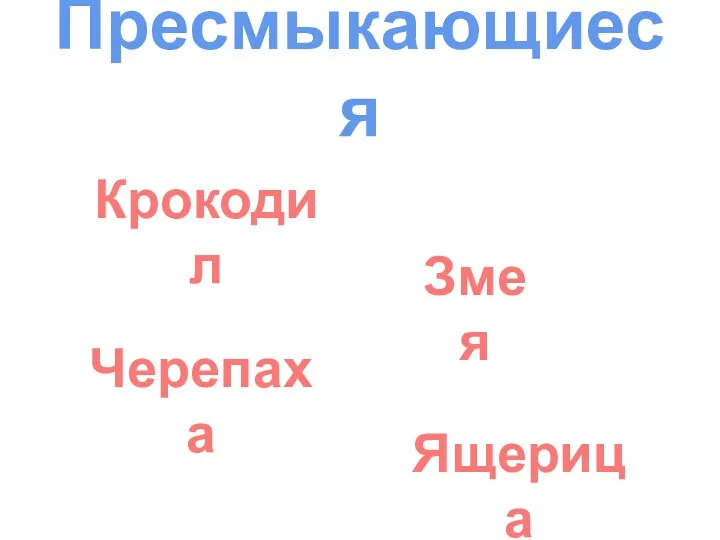 Пресмыкающиеся Крокодил Змея Черепаха Ящерица