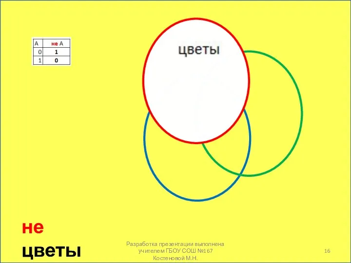 не цветы Разработка презентации выполнена учителем ГБОУ СОШ №167 Костеновой М.Н.