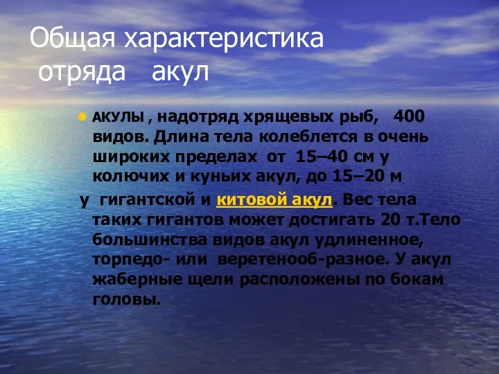 Общая характеристика отряда акул АКУЛЫ , надотряд хрящевых рыб, 400 видов. Длина тела