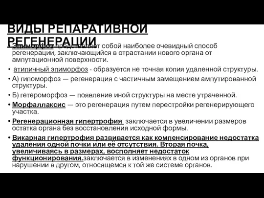 ВИДЫ РЕПАРАТИВНОЙ РЕГЕНЕРАЦИИ Эпиморфоз представляет собой наиболее очевидный способ регенерации,