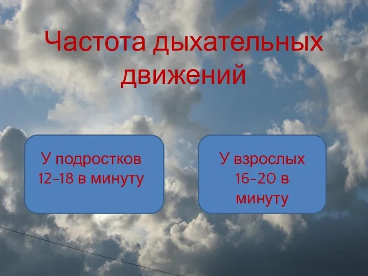 Частота дыхательных движений У подростков 12-18 в минуту У взрослых 16-20 в минуту