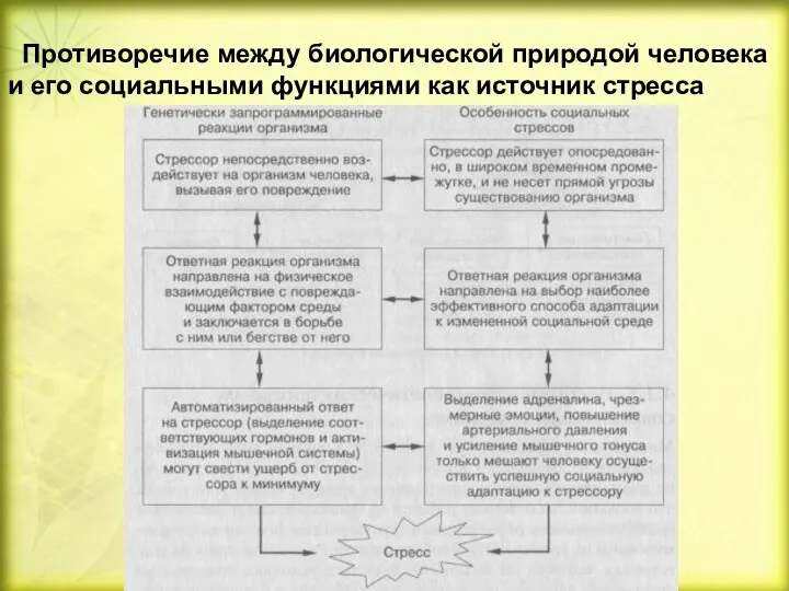 Противоречие между биологической природой человека и его социальными функциями как источник стресса