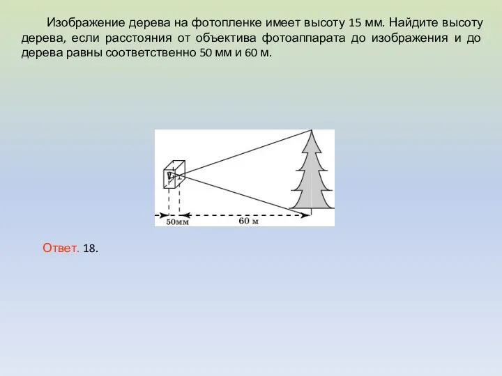 Изображение дерева на фотопленке имеет высоту 15 мм. Найдите высоту