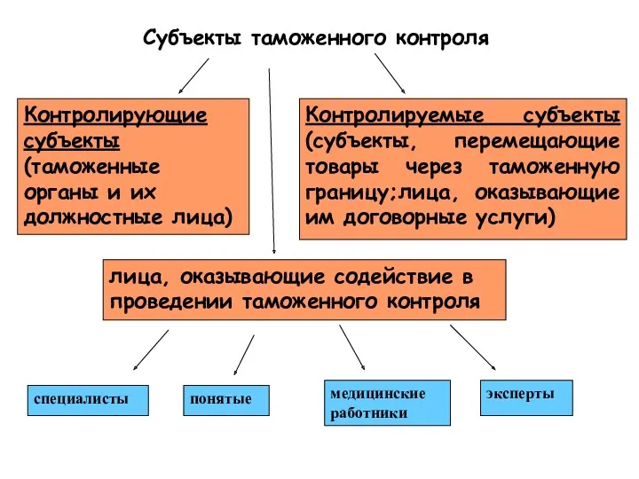 Контролирующие субъекты (таможенные органы и их должностные лица) лица, оказывающие