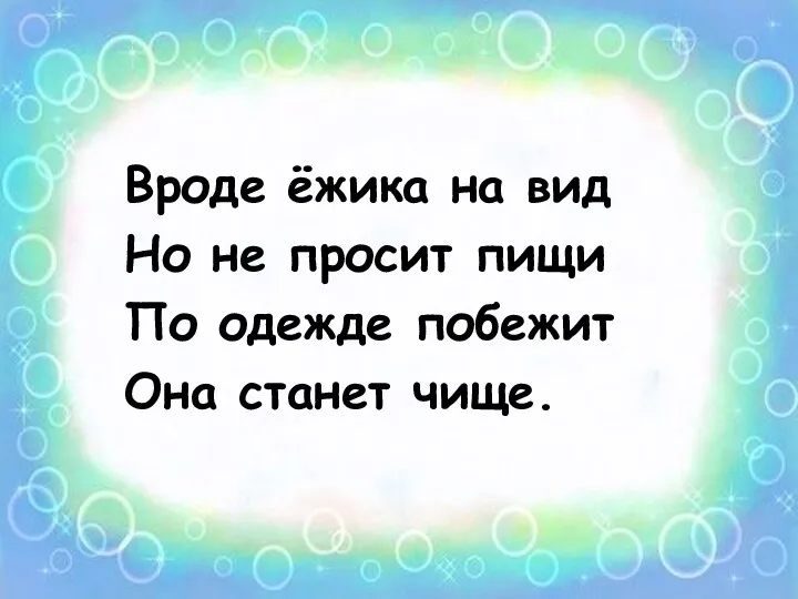 Вроде ёжика на вид Но не просит пищи По одежде побежит Она станет чище.