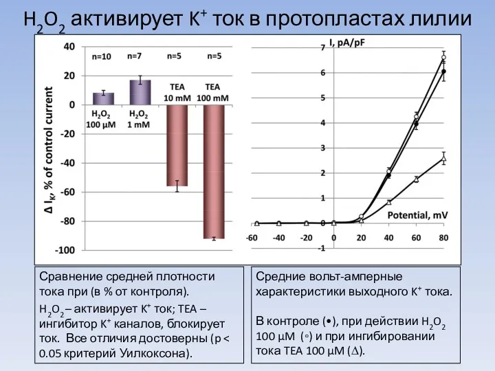 H2O2 активирует K+ ток в протопластах лилии Сравнение средней плотности тока при (в