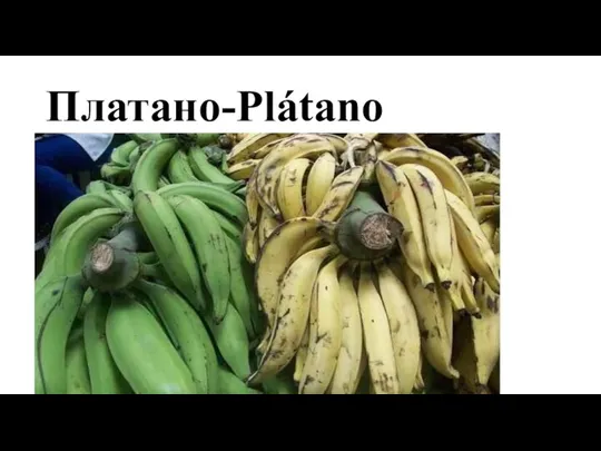Платано-Plátano