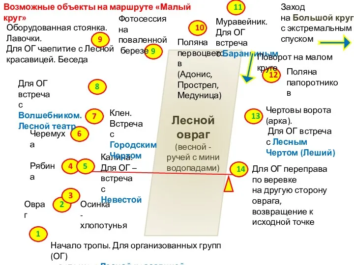 Лесной овраг (весной - ручей с мини водопадами) Возможные объекты на маршруте «Малый