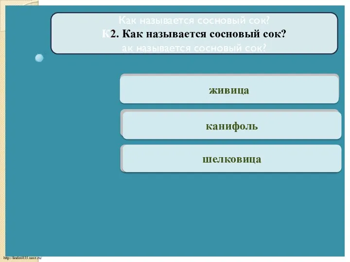 Верно живица Как называется сосновый сок? К2. Как называется сосновый сок? ак называется