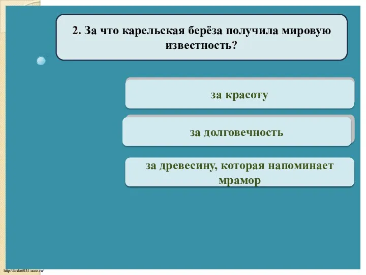 Подумай за красоту 2. За что карельская берёза получила мировую