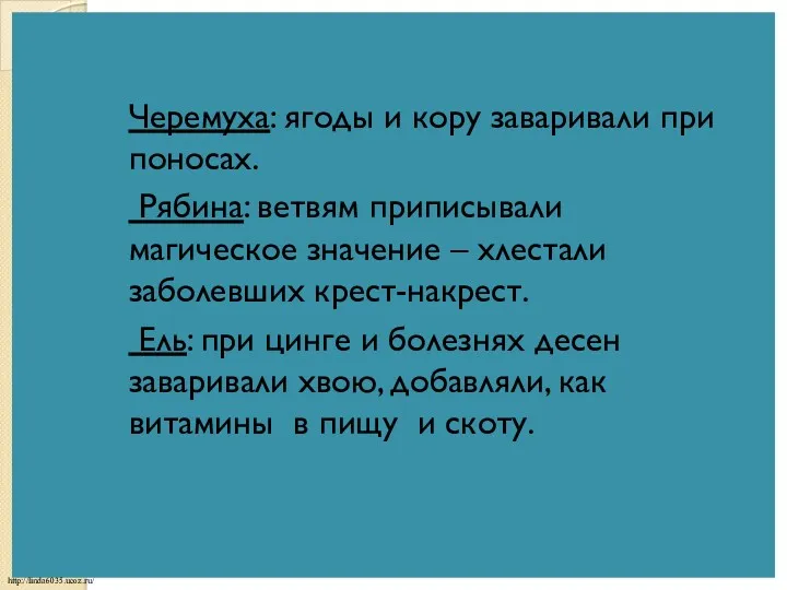 Черемуха: ягоды и кору заваривали при поносах. Рябина: ветвям приписывали магическое значение –