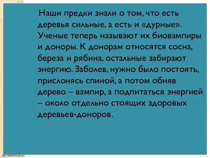 Наши предки знали о том, что есть деревья сильные, а