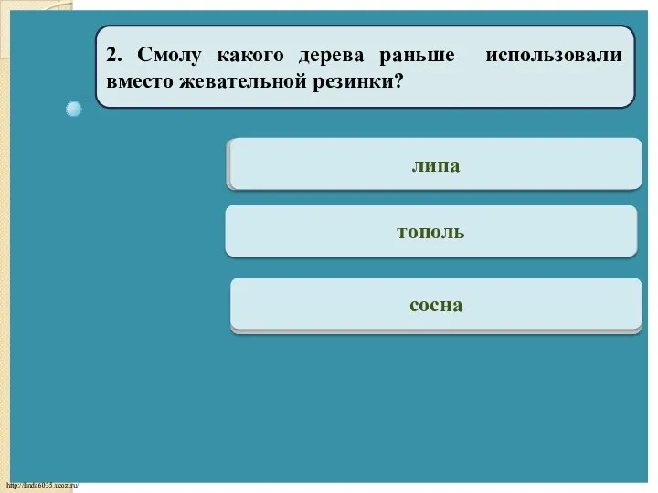 Подумай липа 2. Смолу какого дерева раньше использовали вместо жевательной резинки? Подумай тополь Верно сосна