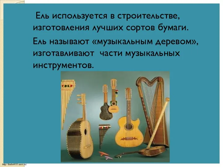 Ель используется в строительстве, изготовления лучших сортов бумаги. Ель называют «музыкальным деревом», изготавливают части музыкальных инструментов.