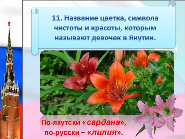 По-якутски «сардана», по-русски – «лилия».