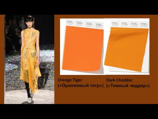 Dark Cheddar («Темный чеддер») Orange Tiger («Оранжевый тигр»)