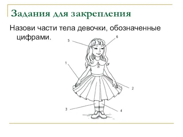 Задания для закрепления Назови части тела девочки, обозначенные цифрами.