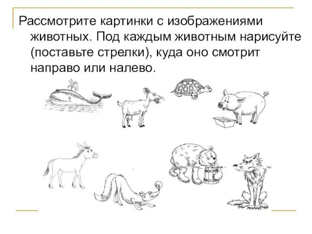 Рассмотрите картинки с изображениями животных. Под каждым животным нарисуйте (поставьте стрелки), куда оно