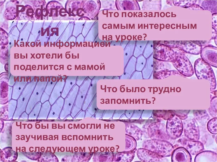 Рефлексия Что показалось самым интересным на уроке? Какой информацией вы