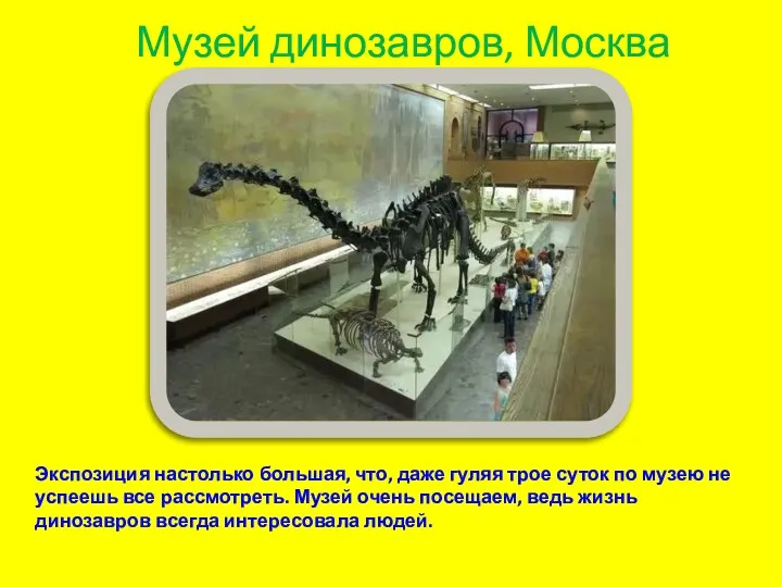 Музей динозавров, Москва Экспозиция настолько большая, что, даже гуляя трое суток по музею