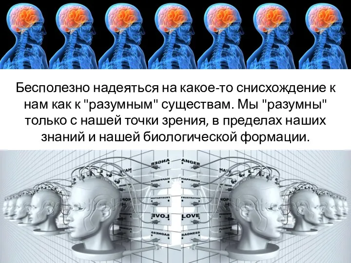 Бесполезно надеяться на какое-то снисхождение к нам как к "разумным" существам. Мы "разумны"