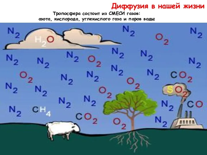 Диффузия в нашей жизни Тропосфера состоит из СМЕСИ газов: азота, кислорода, углекислого газа и паров воды