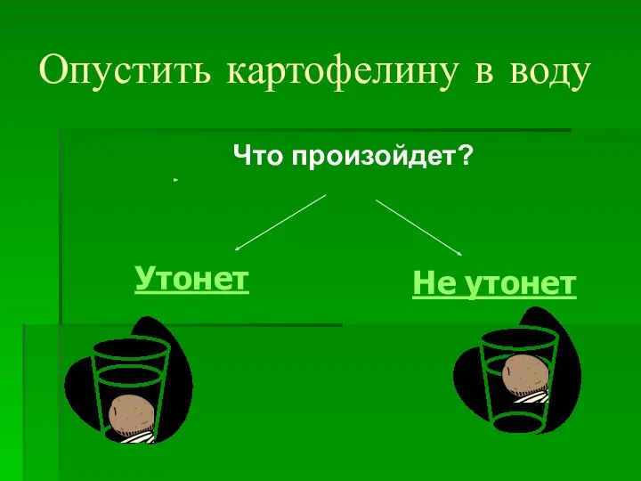 Опустить картофелину в воду Утонет Не утонет Что произойдет?