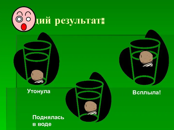 Общий результат: Утонула Поднялась в воде Всплыла!