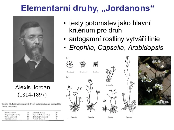Elementarní druhy, „Jordanons“ (1814-1897) testy potomstev jako hlavní kritérium pro druh autogamní rostliny