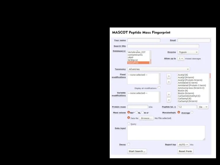 Peptide Mass Fingerprint Сырые данные должны быть переведены в список