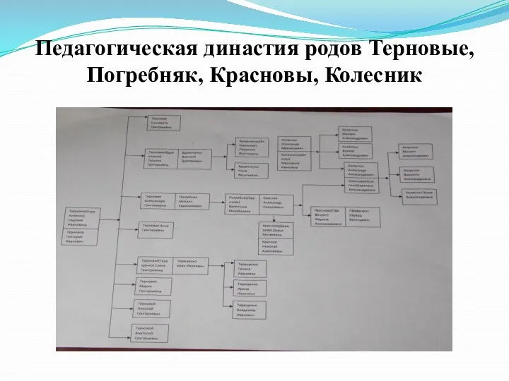 Педагогическая династия родов Терновые, Погребняк, Красновы, Колесник