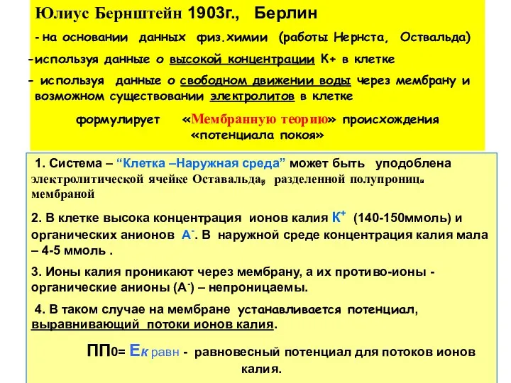 Юлиус Бернштейн 1903г., Берлин - на основании данных физ.химии (работы