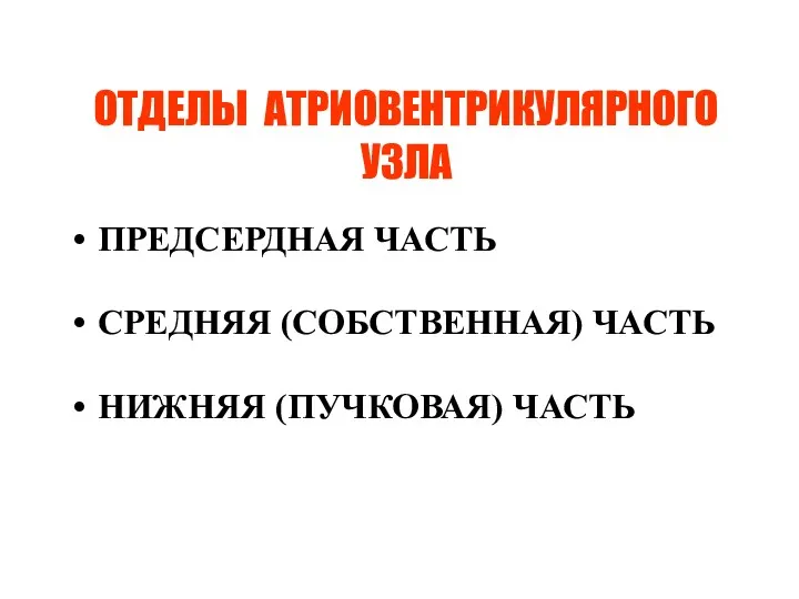 ОТДЕЛЫ АТРИОВЕНТРИКУЛЯРНОГО УЗЛА ПРЕДСЕРДНАЯ ЧАСТЬ СРЕДНЯЯ (СОБСТВЕННАЯ) ЧАСТЬ НИЖНЯЯ (ПУЧКОВАЯ) ЧАСТЬ