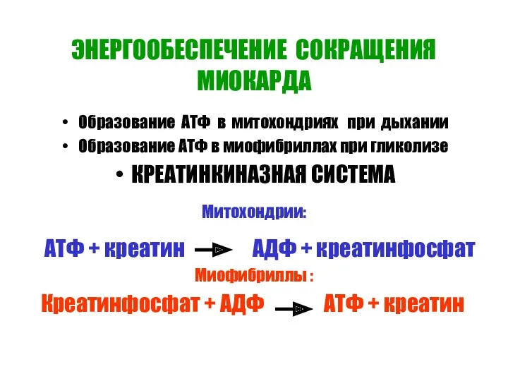 ЭНЕРГООБЕСПЕЧЕНИЕ СОКРАЩЕНИЯ МИОКАРДА Образование АТФ в митохондриях при дыхании Образование