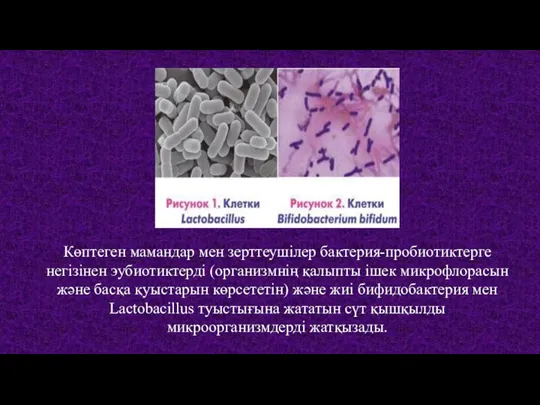 Көптеген мамандар мен зерттеушілер бактерия-пробиотиктерге негізінен эубиотиктерді (организмнің қалыпты ішек